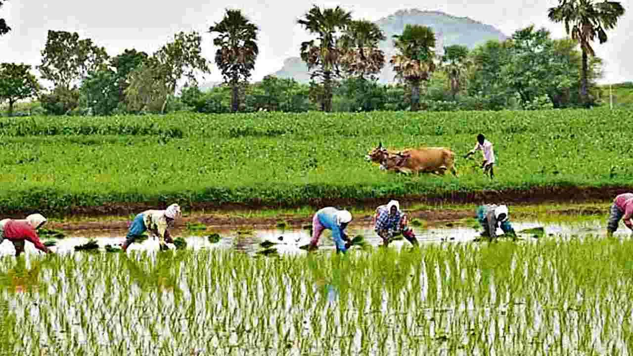 Rythu Runa Mafi: రూ.2 లక్షల వరకు రుణమాఫీ.. గైడ్ లైన్స్ ఇవే..!! 