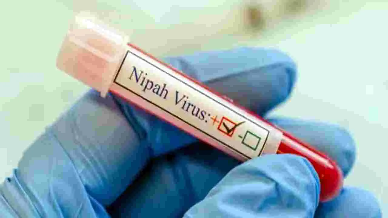 Nipah Virus: కేరళలో నిఫా కలకలం.. వైరస్ సోకిన బాలుడి మృతి