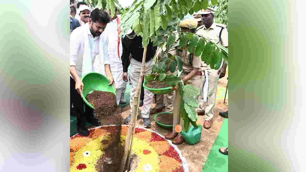 మహబూబ్‌నగర్‌జిల్లా పర్యటనలో సీఎం రేవంత్ రెడ్డి..