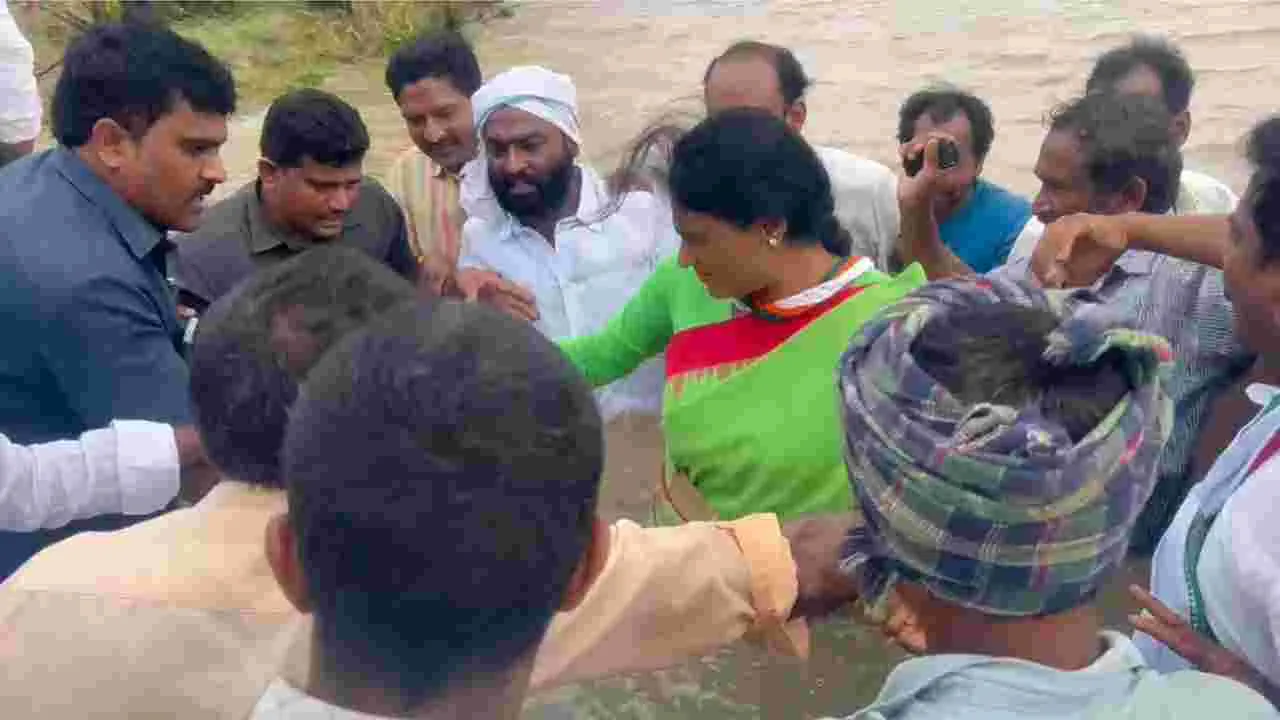 AP Floods: రైతుల కోసం పీసీసీ చీఫ్ వైఎస్ షర్మిల వినూత్న నిరసన