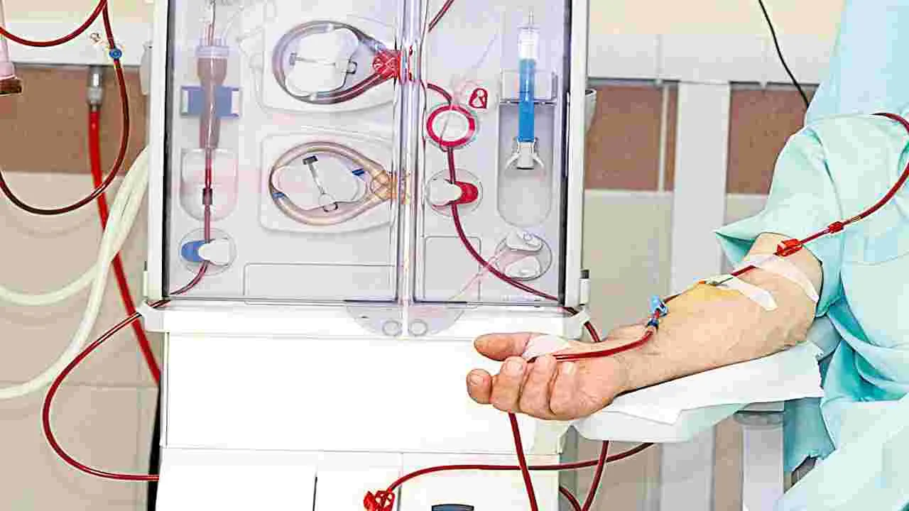 Healthcare Facilities: రక్తశుద్ధిపై చిత్తశుద్ధి