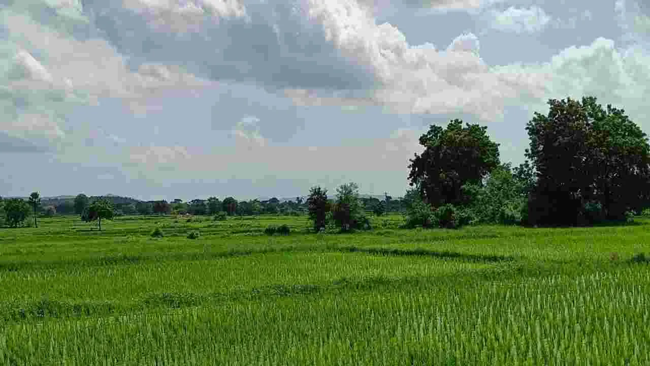 ఫోర్జరీ సంతకాలతో   విరాసత్‌కు యత్నం