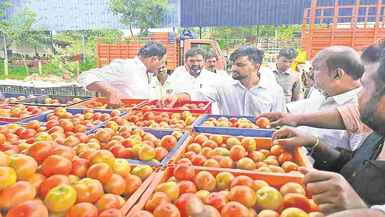 JOINT COLLECTOR : టమోటాను వృథాగా పడేయవద్దు