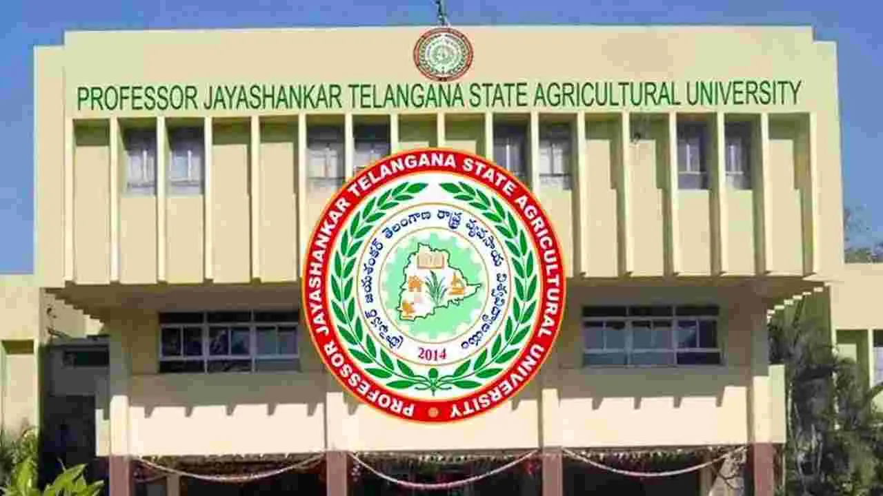 Jayashankar University: జయశంకర్‌ వర్సిటీకి 37వ ర్యాంకు