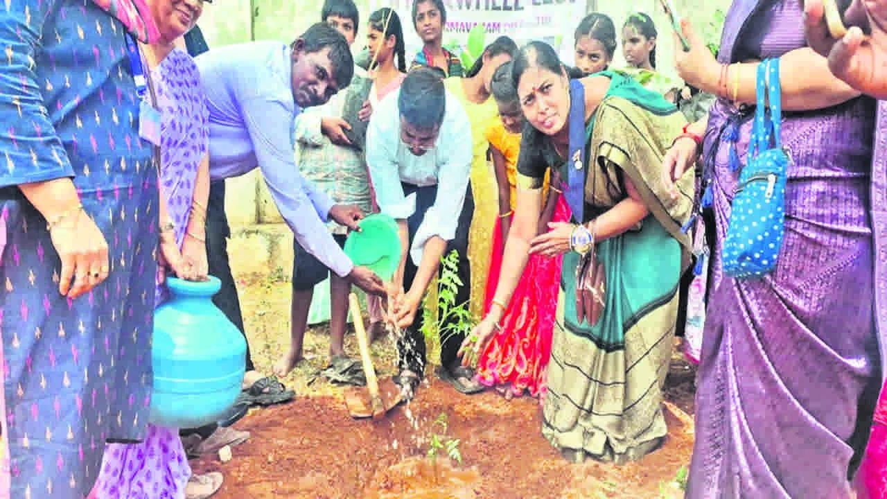 PLANTS :  మొక్కలు నాటి సంరక్షించాలి