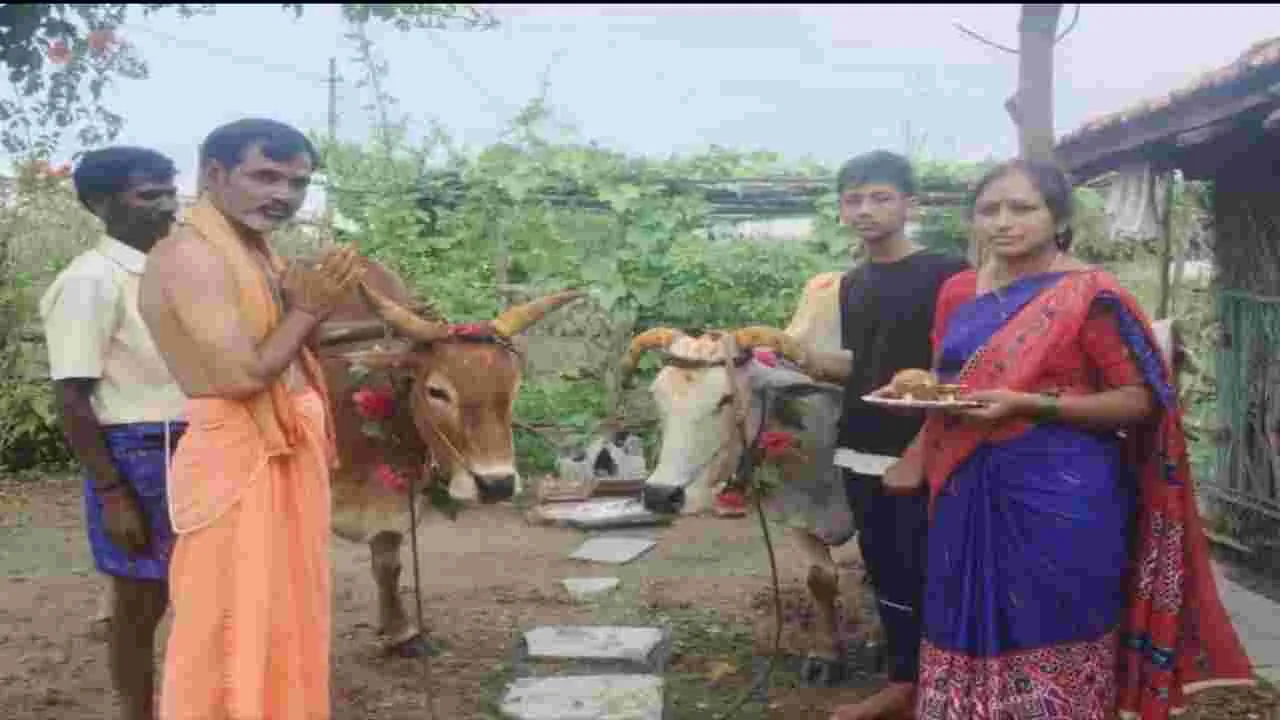 ఘనంగా పొలాల అమావాస్య 