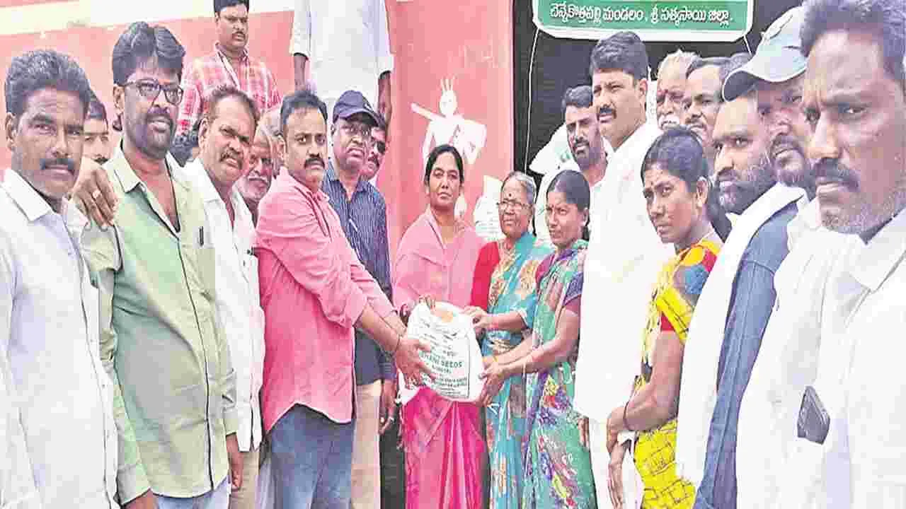 MLA SUNITHA: ప్రత్యామ్నాయ సాగుకు ప్రభుత్వ ప్రోత్సాహం