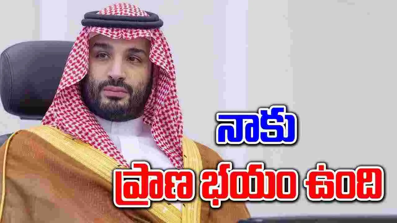 Mohammed bin Salman: నన్ను చంపేస్తారని భయమేస్తోంది... అమెరికా ముందు వాపోయిన సౌదీ రాజు