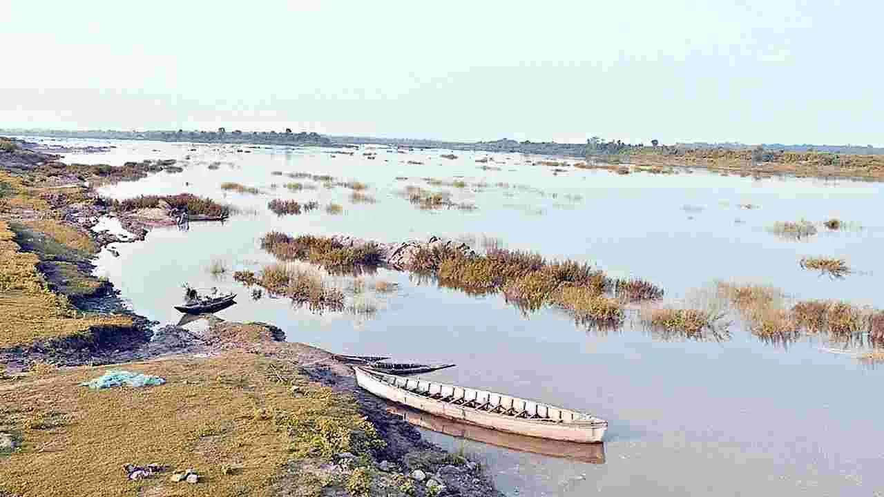 Tummidihetti Barrage: తుమ్మిడిహెట్టిపై సర్కారు నజర్‌