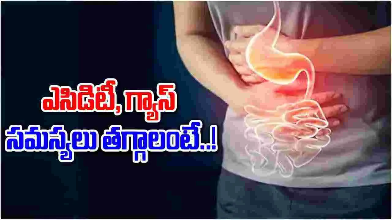 Health Tips : జీర్ణవ్యవస్థ ఆరోగ్యంగా ఉండాలంటే ఇవి తింటే చాలట.. !