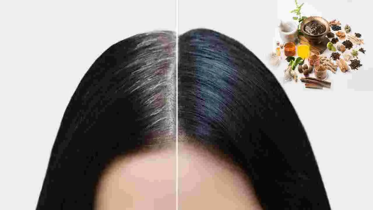 Hair Care:  ఆయుర్వేదం చెప్పిన  ఈ టిప్స్ ఫాలో అయితే..  తెల్లజుట్టు మాయమవుతుంది..!