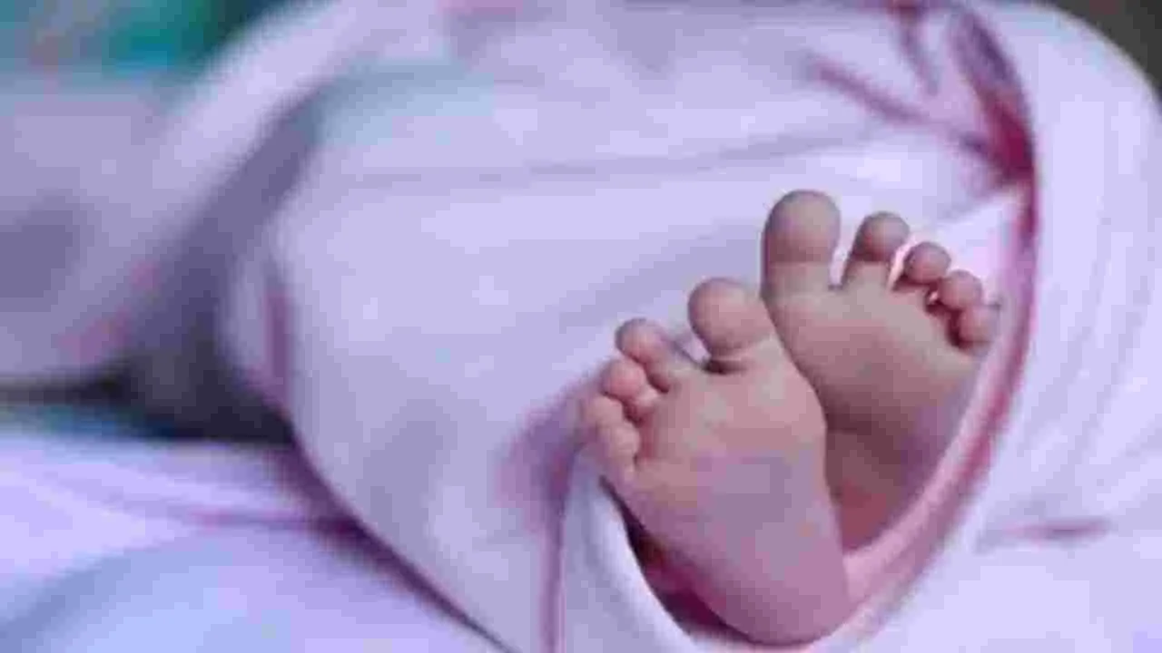 Baby in Danger: దారుణం.. చెట్ల పొదల్లో పసికందు..