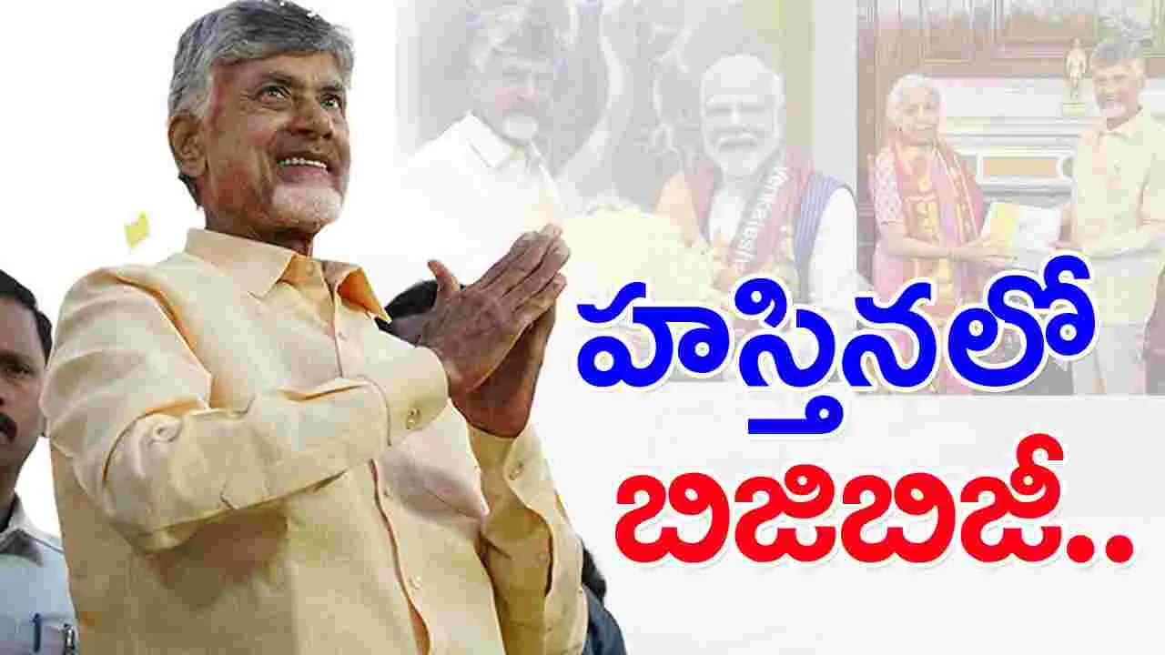 CM Chandrababu: ఢిల్లీ చేరుకున్న ఏపీ సీఎం చంద్రబాబు.. బిజిబిజీ..