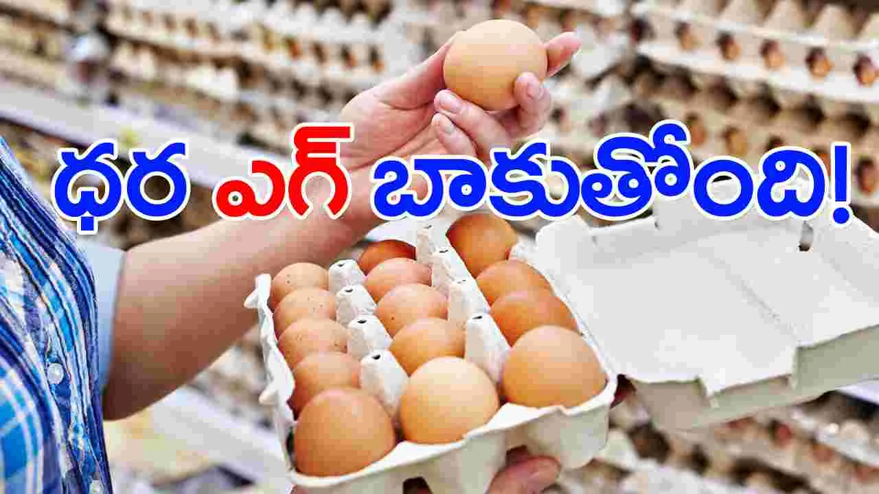 Egg Rate: బాబోయ్.. కొండెక్కిన కోడిగుడ్డు ధర!