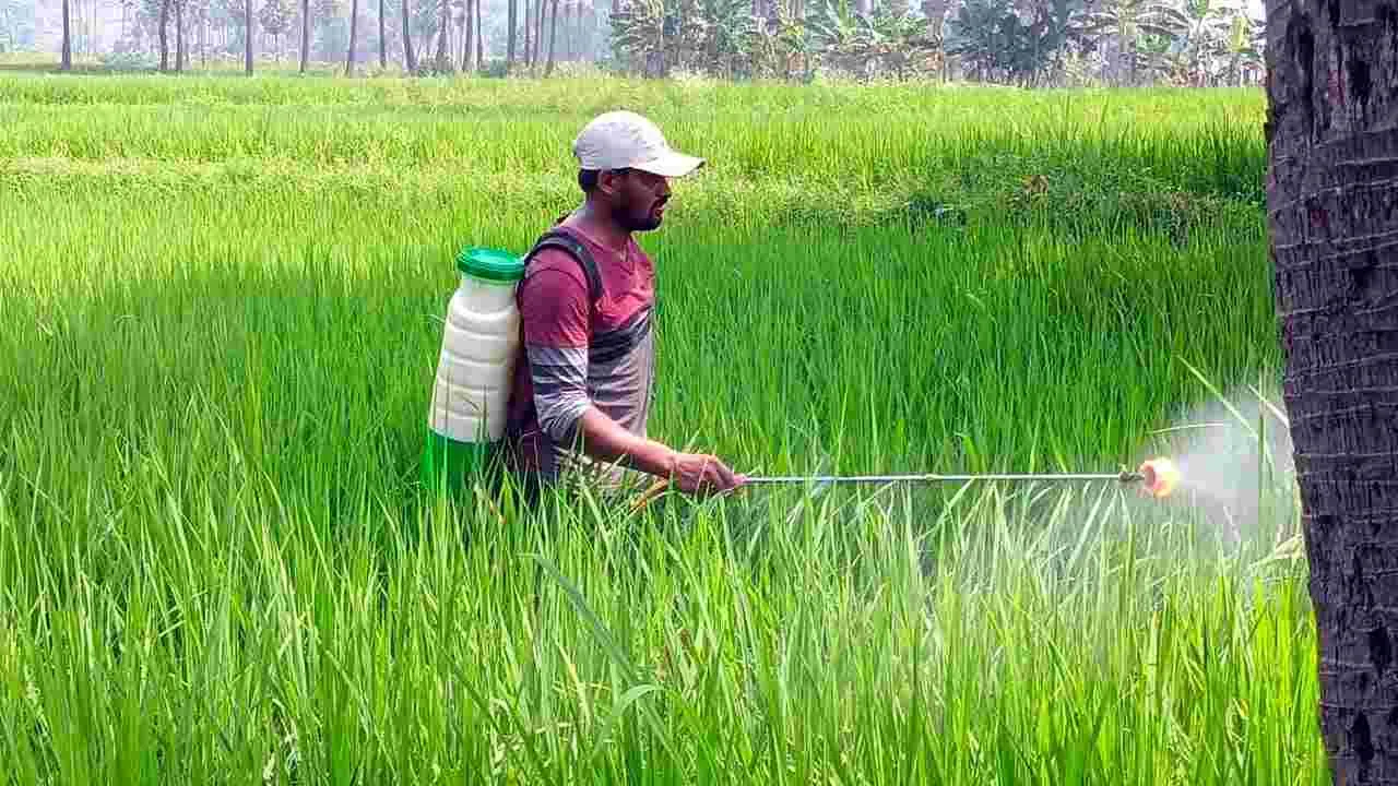 Farmers health issue:: అన్నారుగూడెంలో 9మంది రైతు కూలీలకు అస్వస్థత..