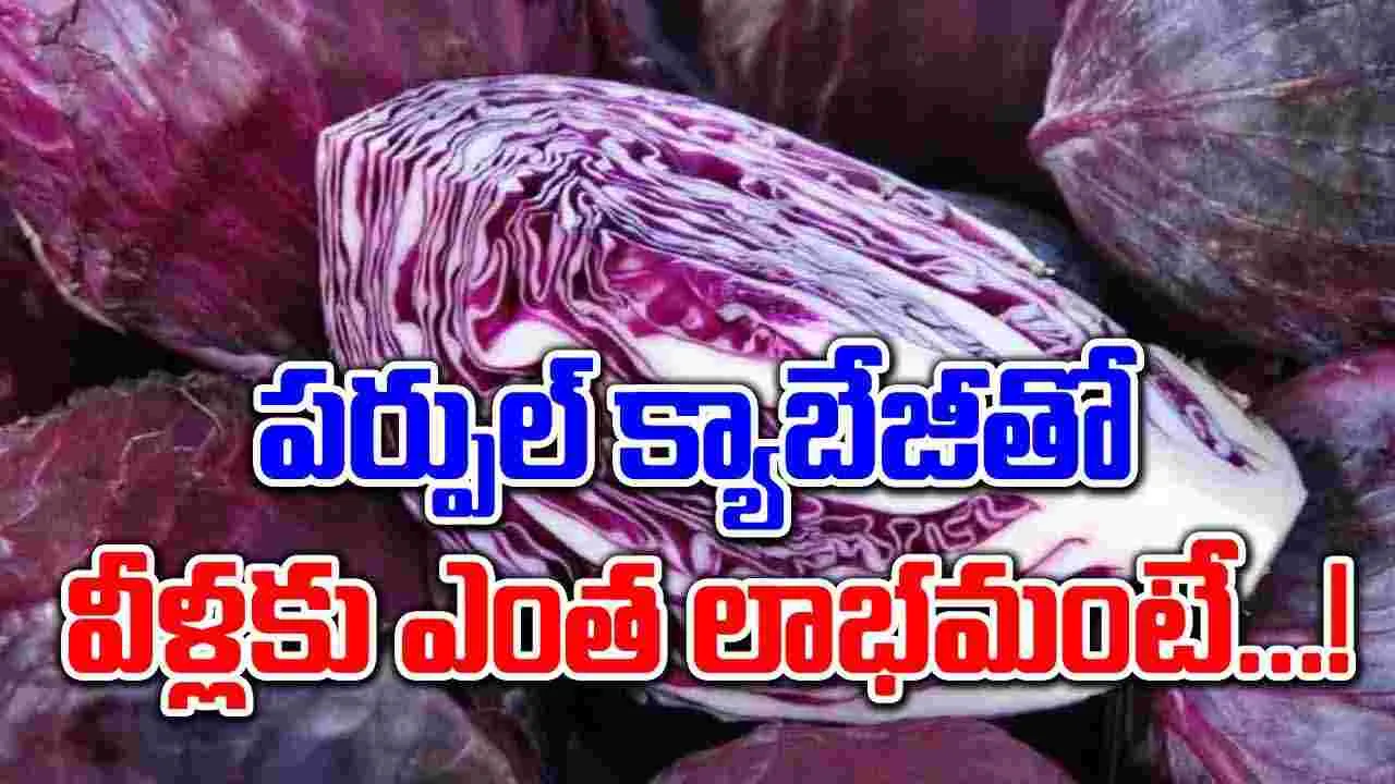 Health Tips : క్యాన్సర్ ఉన్నవారు పర్పుల్ క్యాబేజీ తింటే ఇన్ని లాభాలా..! 