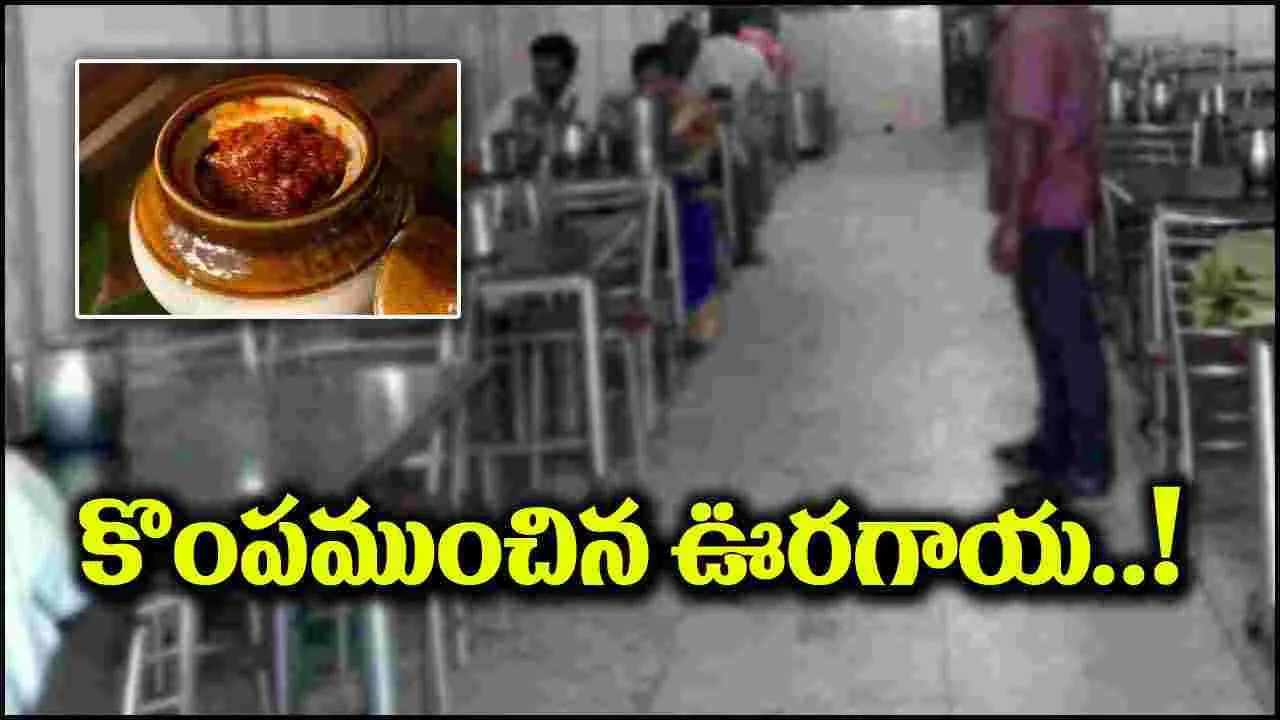 Viral: హోటల్ కొంపముంచిన ‘ఊరగాయ’.. ఏకంగా రూ.35 వేల ఫైన్.. అసలేమైందంటే?