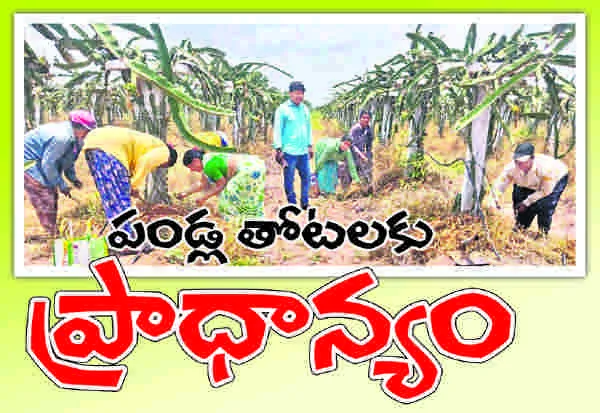 పండ్ల తోటలకు ప్రాధాన్యం