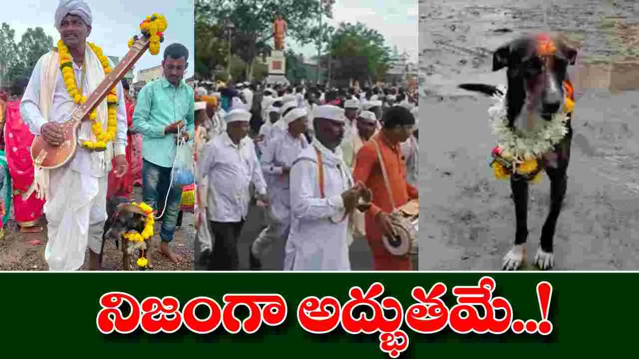 Viral News: ఇది కదా విశ్వాసం.. యజమాని కోసం 200 కిలోమీటర్లు నడిచిన కుక్క..!