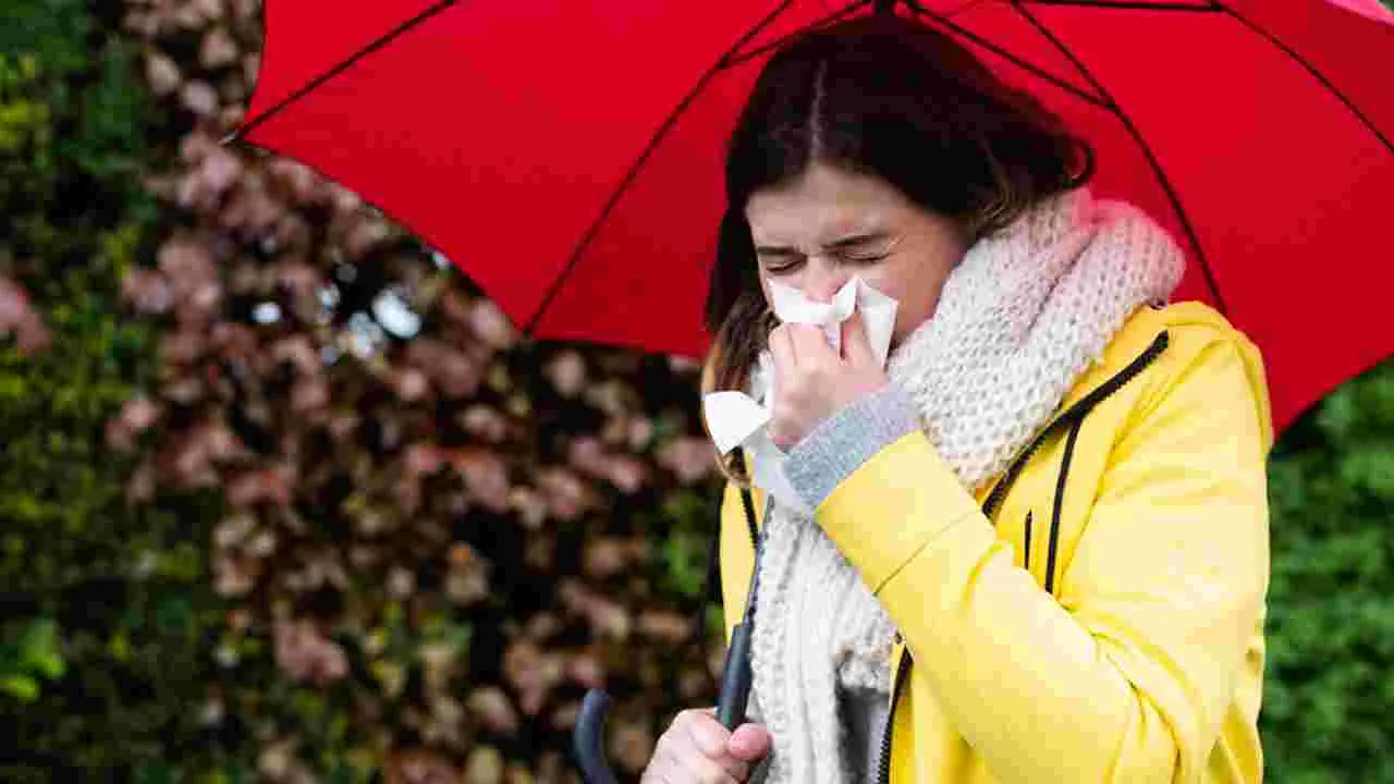 Monsoon Health Tips: వర్షాకాలంలో వ్యాధులు రావొద్దంటే ఈ ఫుడ్స్ తినాల్సిందే..!