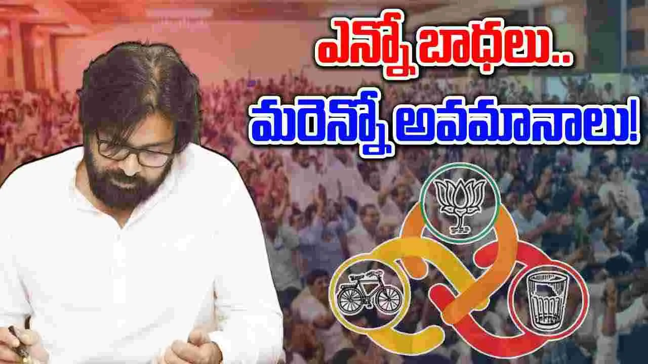 Pawan Kalyan: ఎన్నో బాధలు, ఇబ్బందులు, అవమానాలు పడి ప్రభుత్వాన్ని స్థాపించాం..