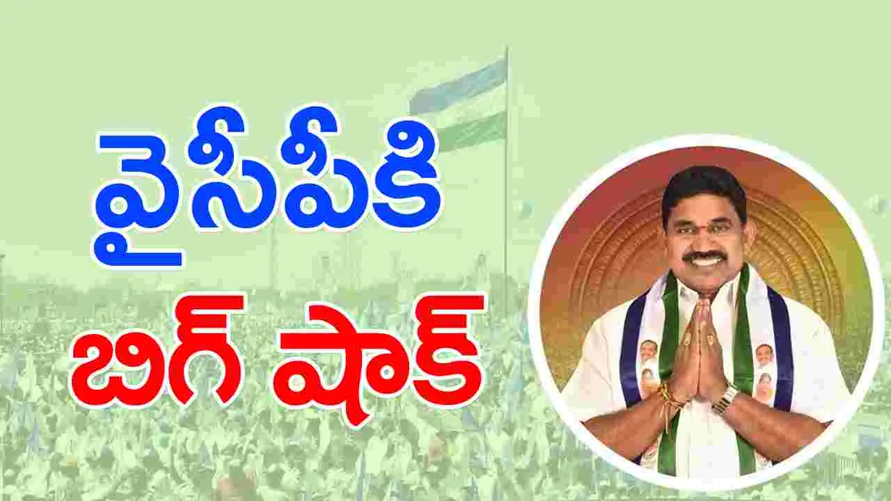 YSRCP: వైసీపీకి ఊహించని షాక్.. 