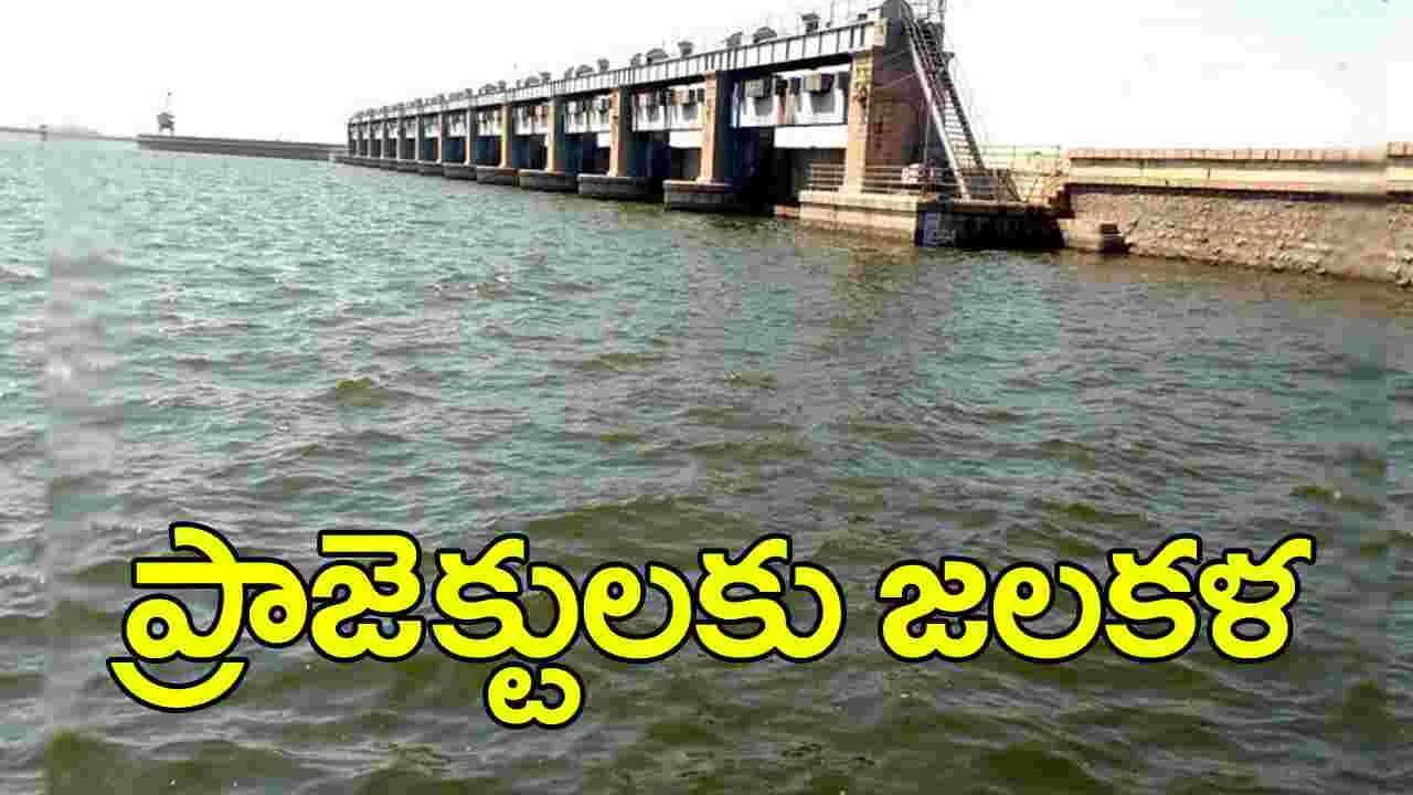 Projects in Telangana: తెలంగాణ ప్రాజెక్టులకు జలకళ.. ప్రస్తుత నీటి మట్టాలు ఇవే