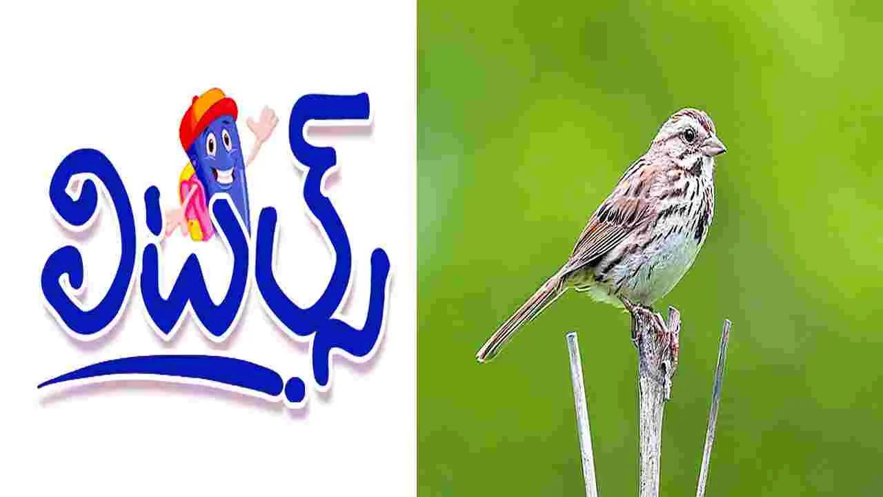 Littles : కాకి-పిచ్చుక