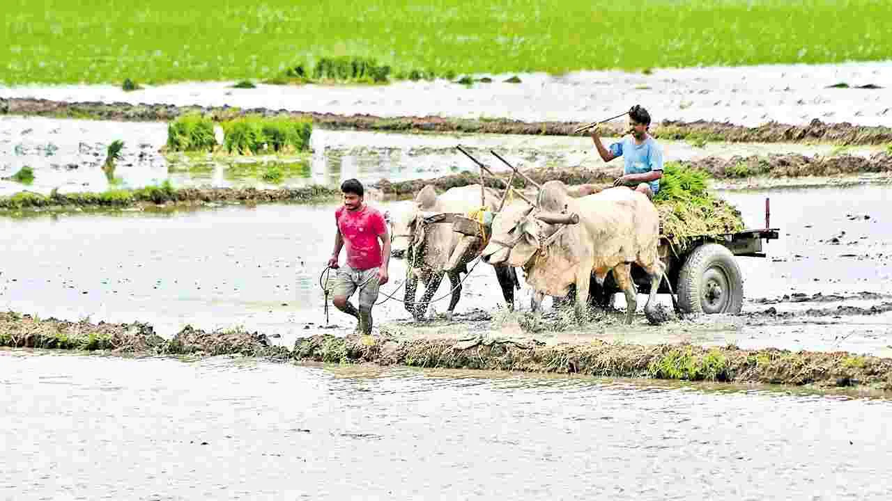 Amaravati : ఖరీఫ్‌కు గడ్డుకాలం!