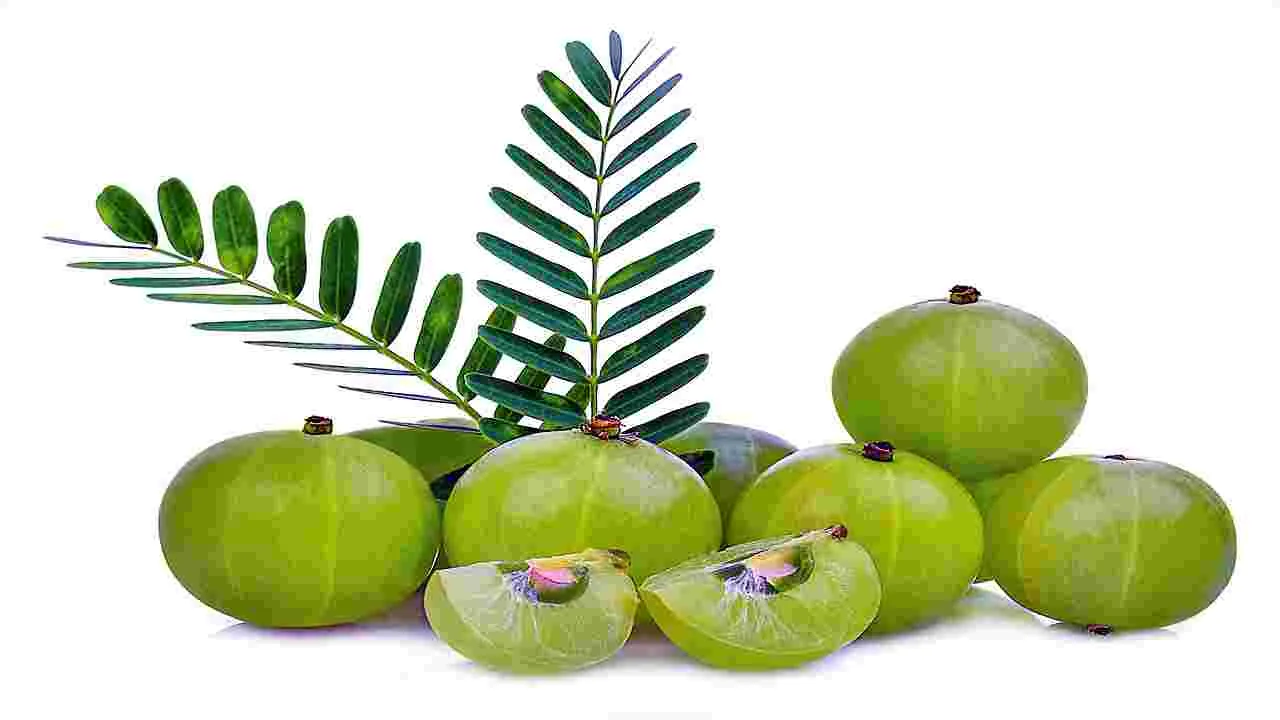 Benefits of Amla : ఉదయమే ఉసిరి తింటే?