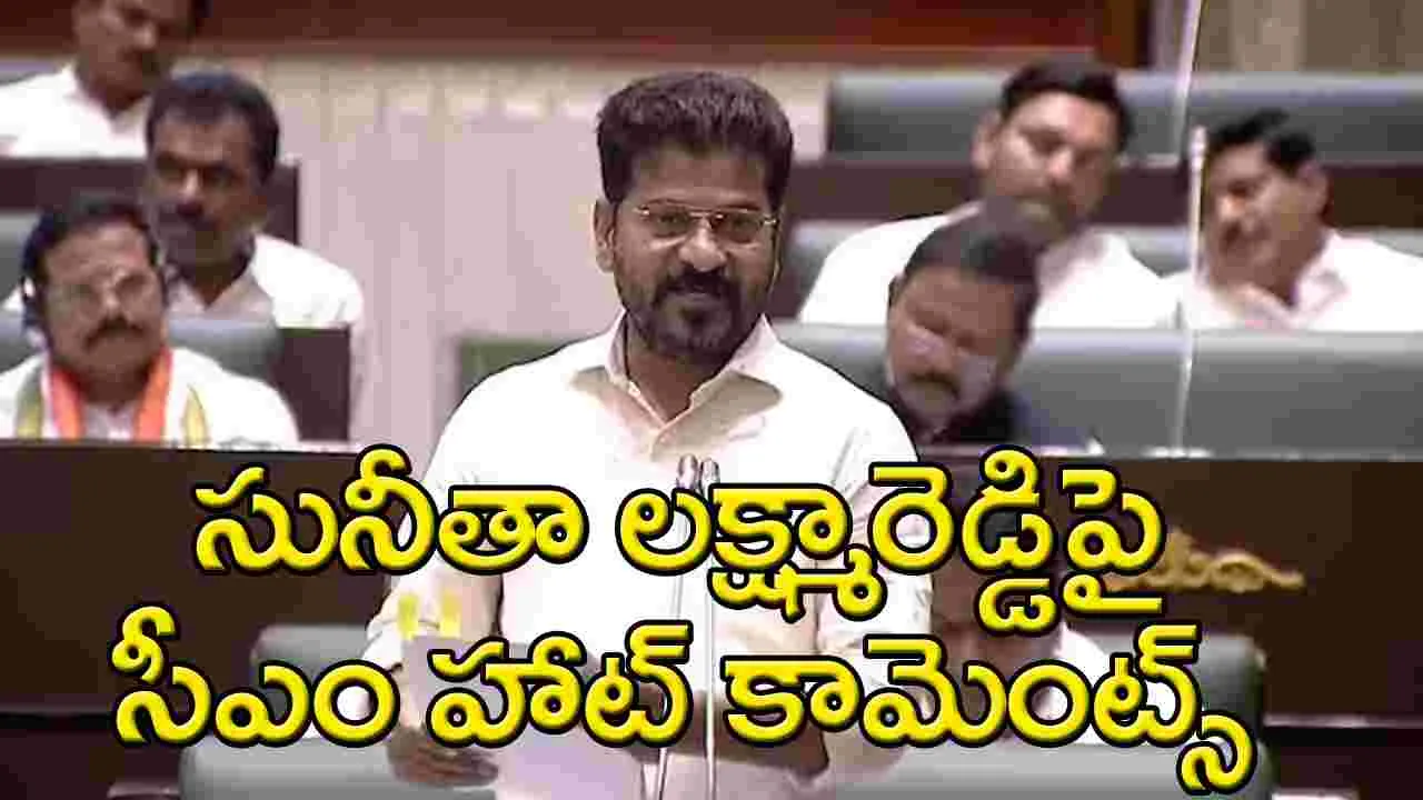 CM Revanth Reddy: సునీత లక్ష్మారెడ్డిపై అసెంబ్లీలో సీఎం రేవంత్ రెడ్డి హాట్ కామెంట్స్