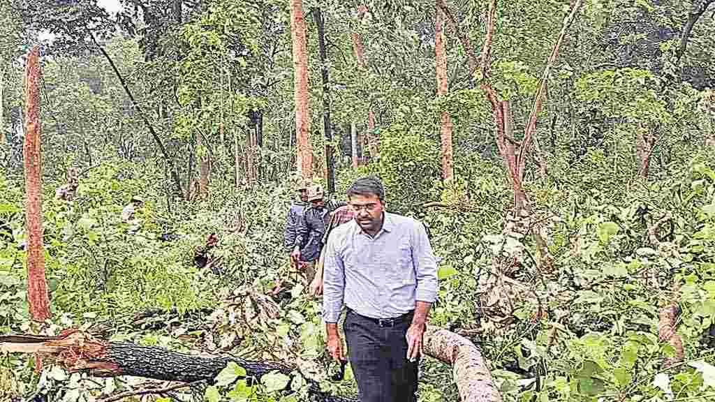 మేడారం అడవుల్లో సుడిగాలుల బీభత్సం 