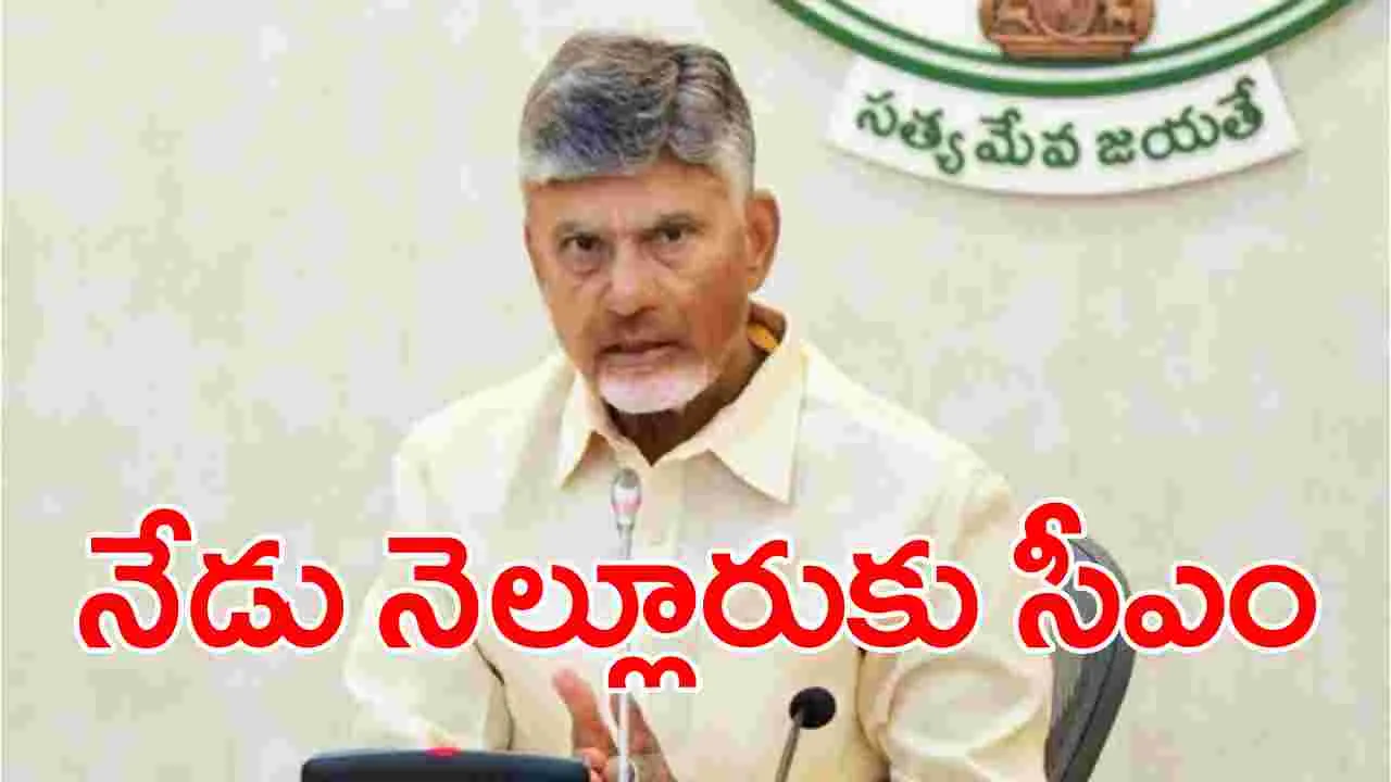 AP News: నేడు తొలిసారి నెల్లూరుకు సీఎం చంద్రబాబు.. ఎందుకంటే?