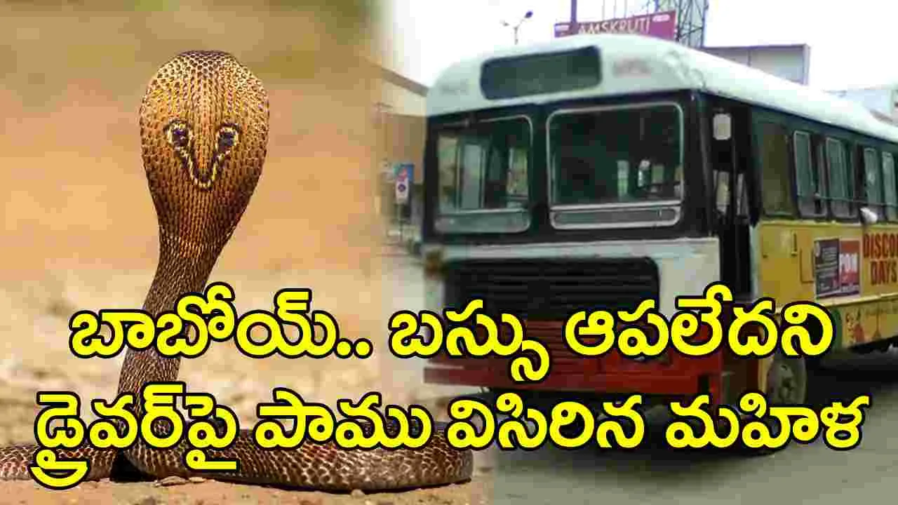 Viral News: బస్సు ఆపలేదని డ్రైవర్‌పై పాము విసిరిన వృద్ధురాలు.. హైదరాబాద్‌లో విస్తుపోయే ఘటన