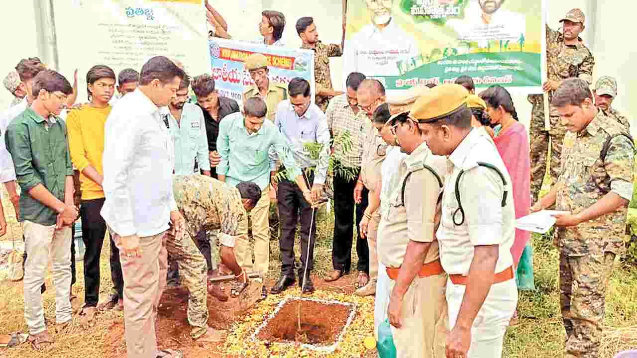 ఘనంగా వన మహోత్సవం