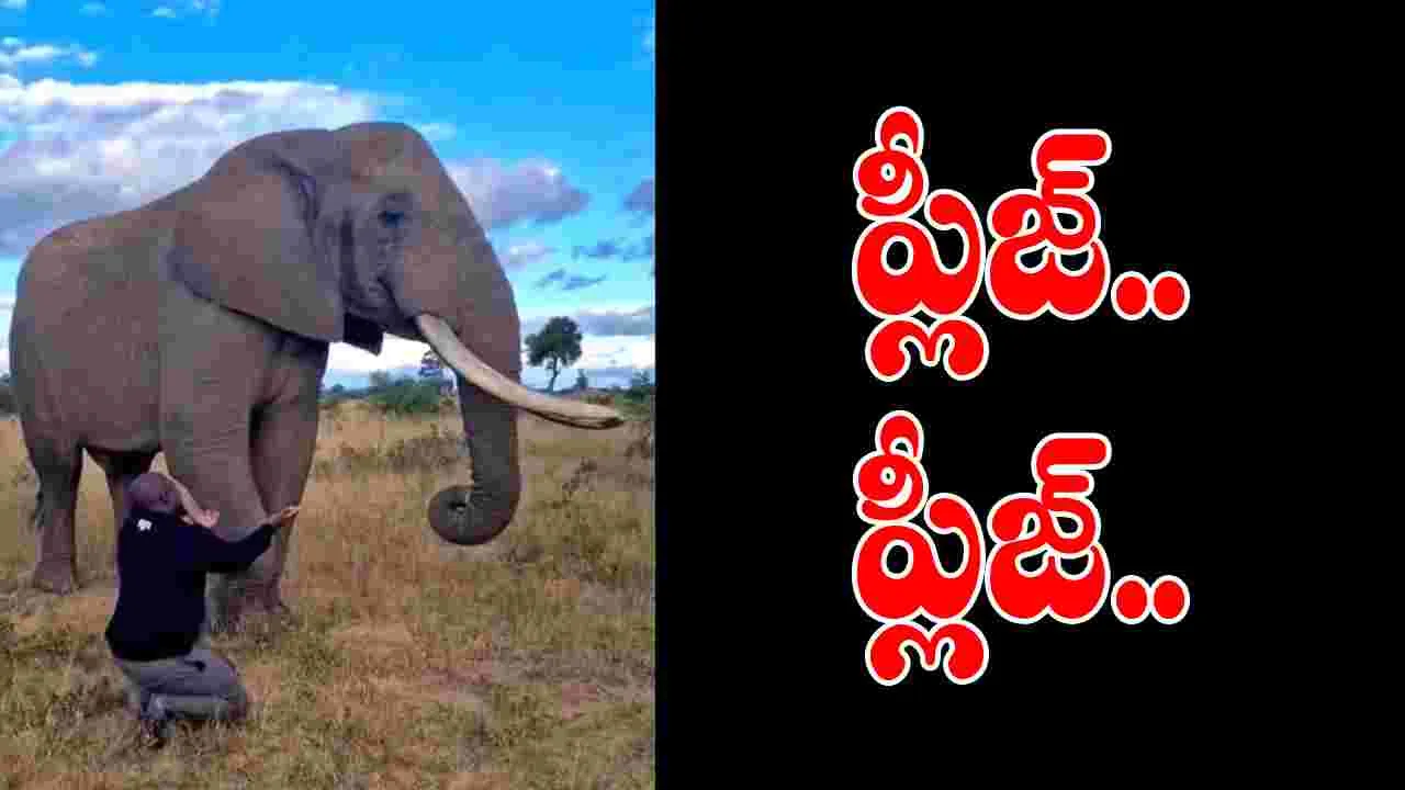 Watch Video: ఏనుగు చిలిపితనం.. టూరిస్ట్ షాక్.. బ్యూటీఫుల్ వీడియో మీకోసం..