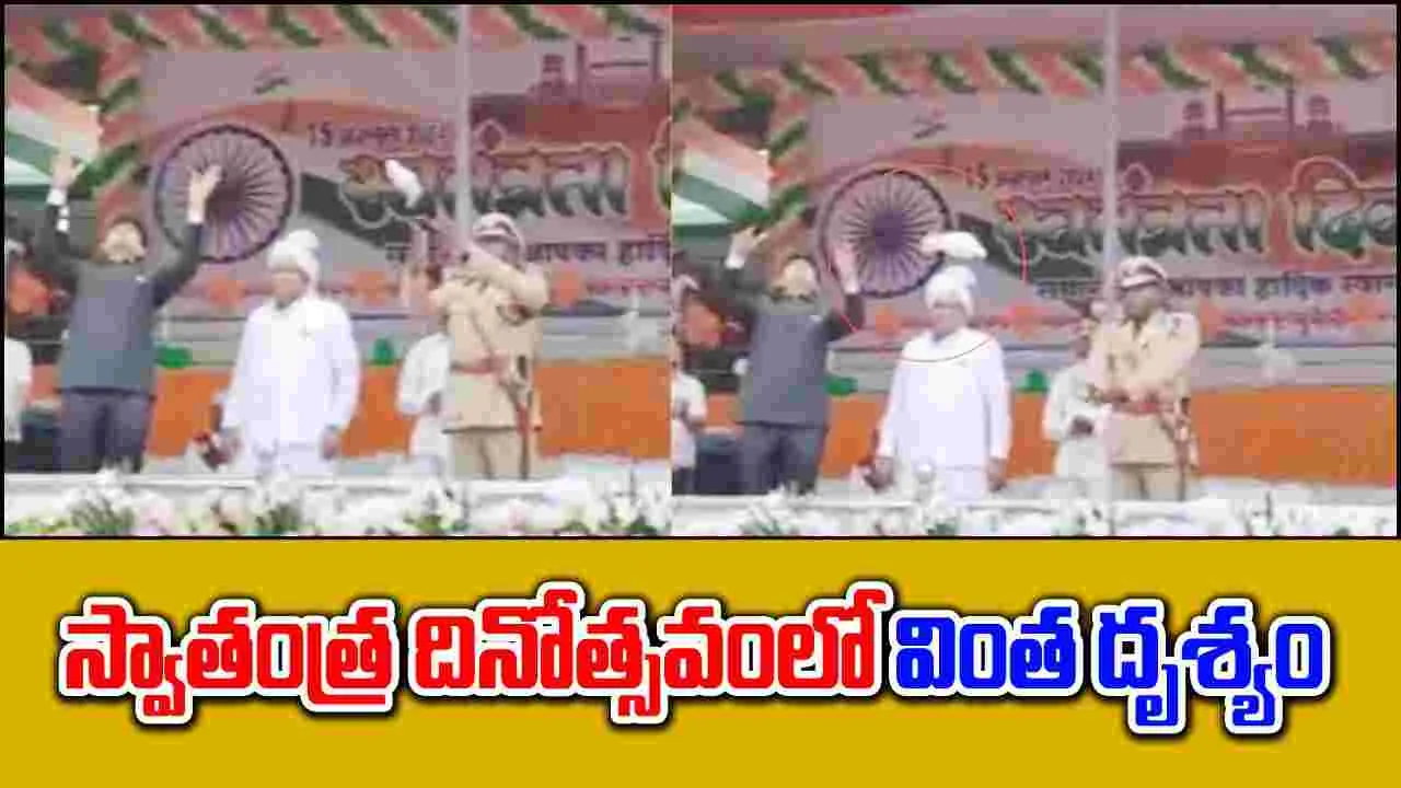 Viral Video: ఇందేందయా ఇదీ.. పావురం ఇంత పని చేసిందేంటి..!