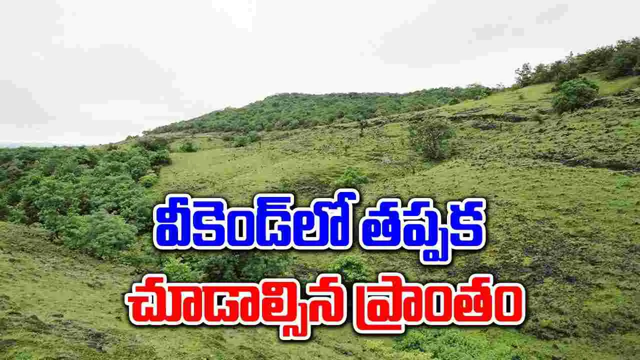 Tourist Place: వీకెండ్ విజిట్‌కు బెస్ట్ ప్లేస్ .. ట్రేక్కింగ్, కాఫీ తోటలతోపాటు..