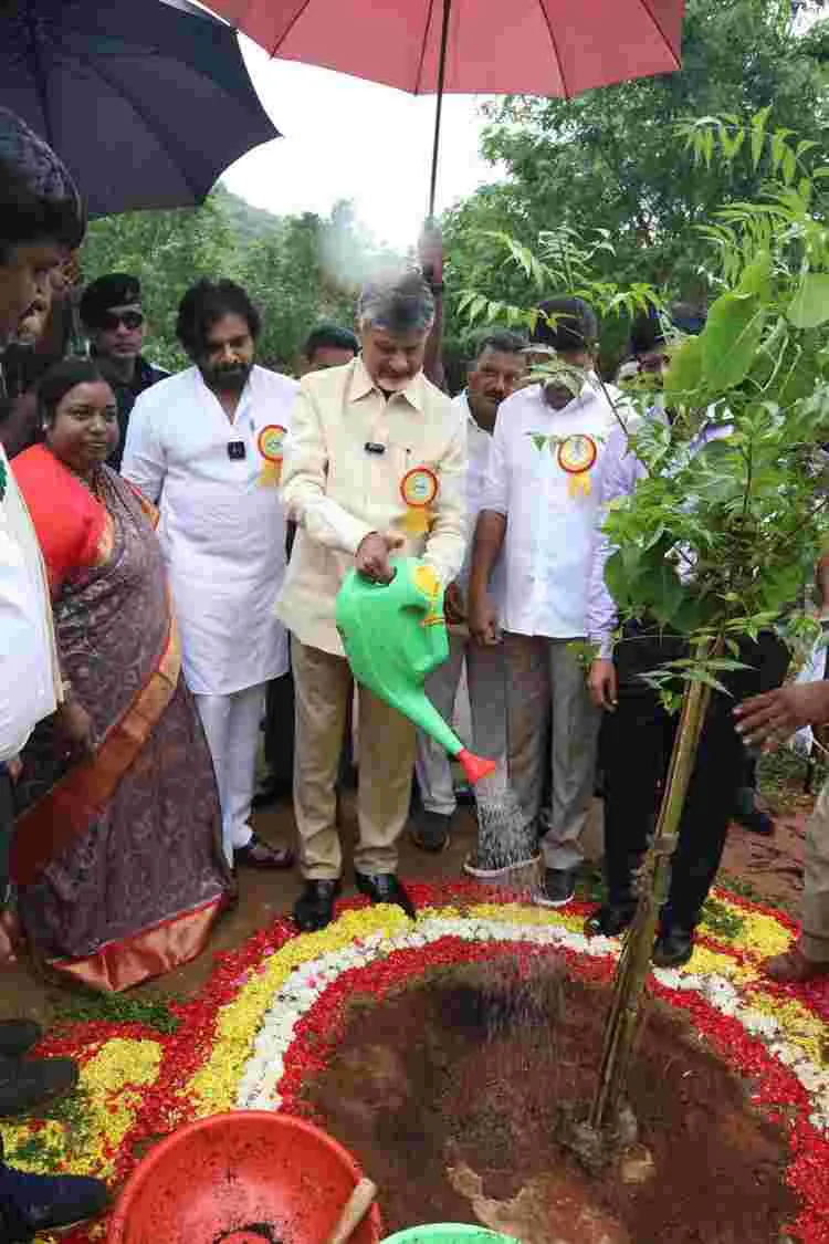 అమ్మ పేరుతో చెట్టు పెంచండి