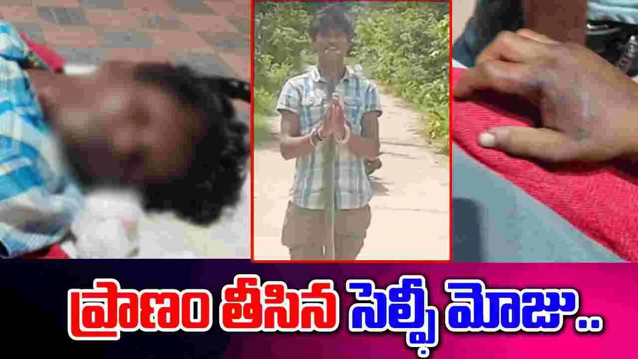 Viral News: బాన్సువాడలో పాముతో చెలగాటం.. చివరికి యువకుడి పరిస్థితి..