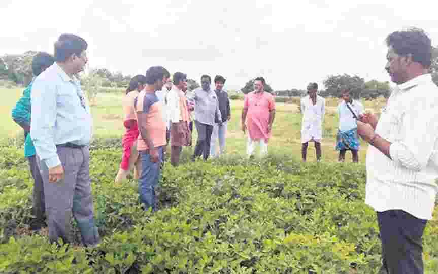 రక్షకతడులు ఇవ్వడానికి సిద్ధంకండి  