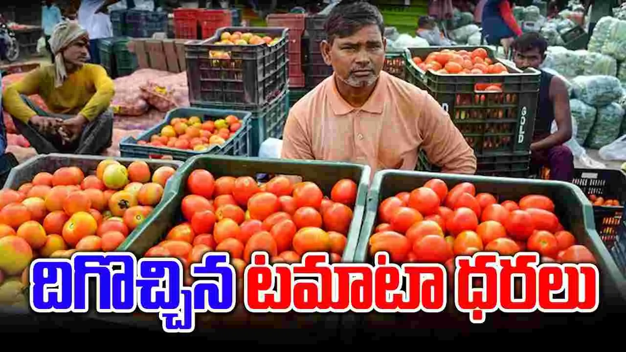 Tomato Rate: దిగొస్తున్న టమాటా ధరలు.. కిలో కేవలం..!