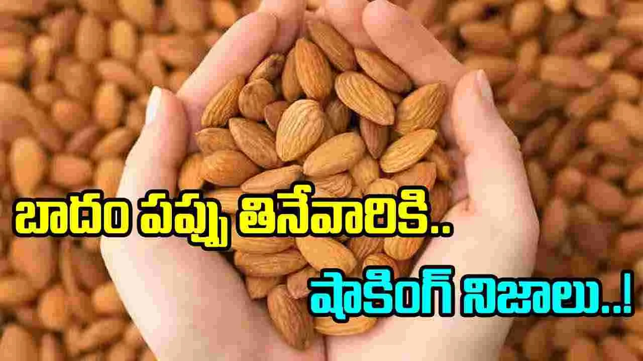 Almonds: బాదం పప్పు ఎలా తింటే ఆరోగ్యం?  మీకు తెలియని నిజాలివి..!