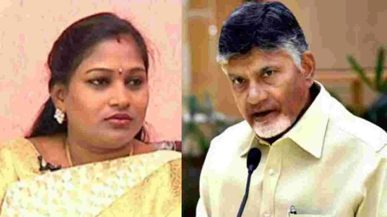 TDP: మా అధినేతను బాధపెట్టిన రోజులు గుర్తొచ్చాయ్: మంత్రి అనిత