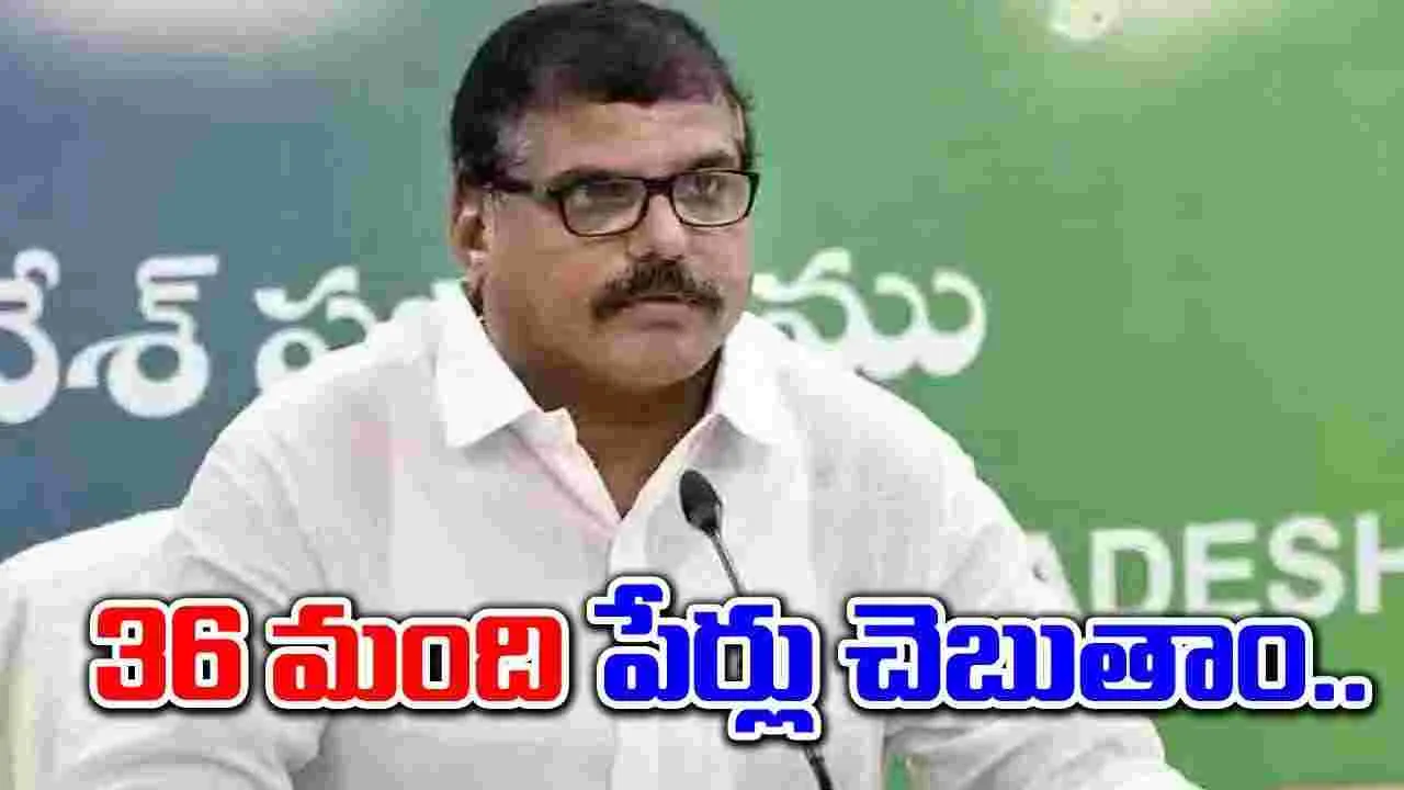 Botsa Satyanarayana: విశాఖ పోర్టుకు ఎప్పుడూ ఇలాంటి మచ్చరాలేదు...