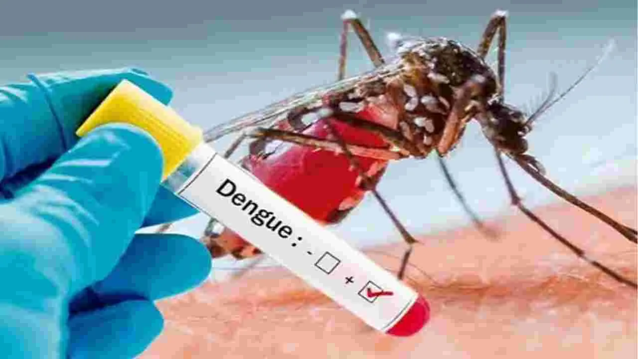 Dengue fever: డెంగీ జ్వరం.. జరభద్రం 