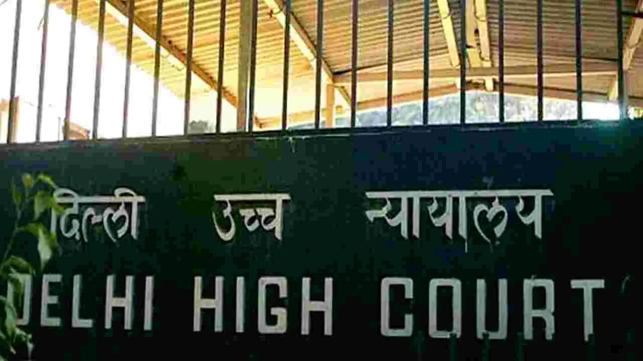 Delhi High Court: వికీపీడియాను మందలించిన ఢిల్లీ హైకోర్టు.. కారణమిదే..