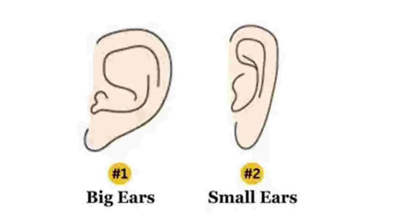 Personality Test: మీ చెవుల ఆకారం,  పరిమాణం మీలో ఉన్న లక్షణాలను బయటపెడుతుందట.. ఓ సారి చెక్ చేసుకోండి..!