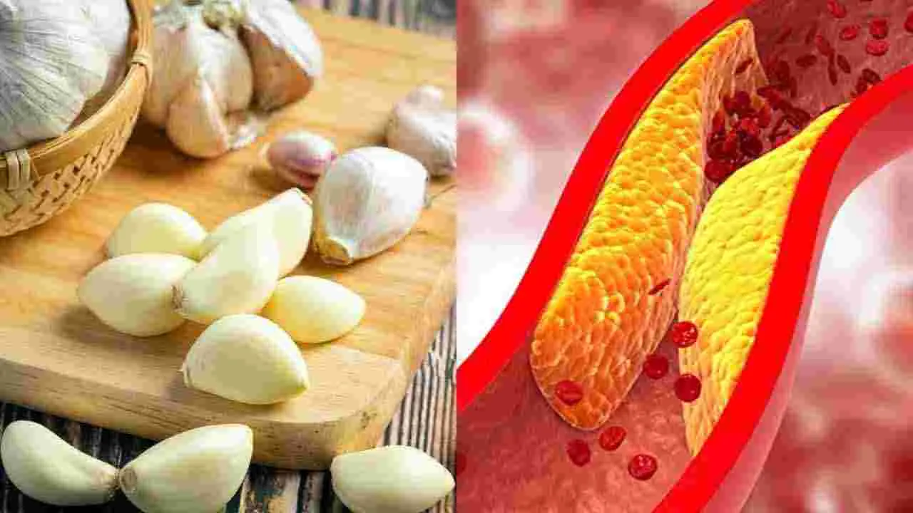 Health News: మీ డైట్‌లో వెల్లుల్లి చేరితే.. ఎన్ని లాభాలో తెలుసా?