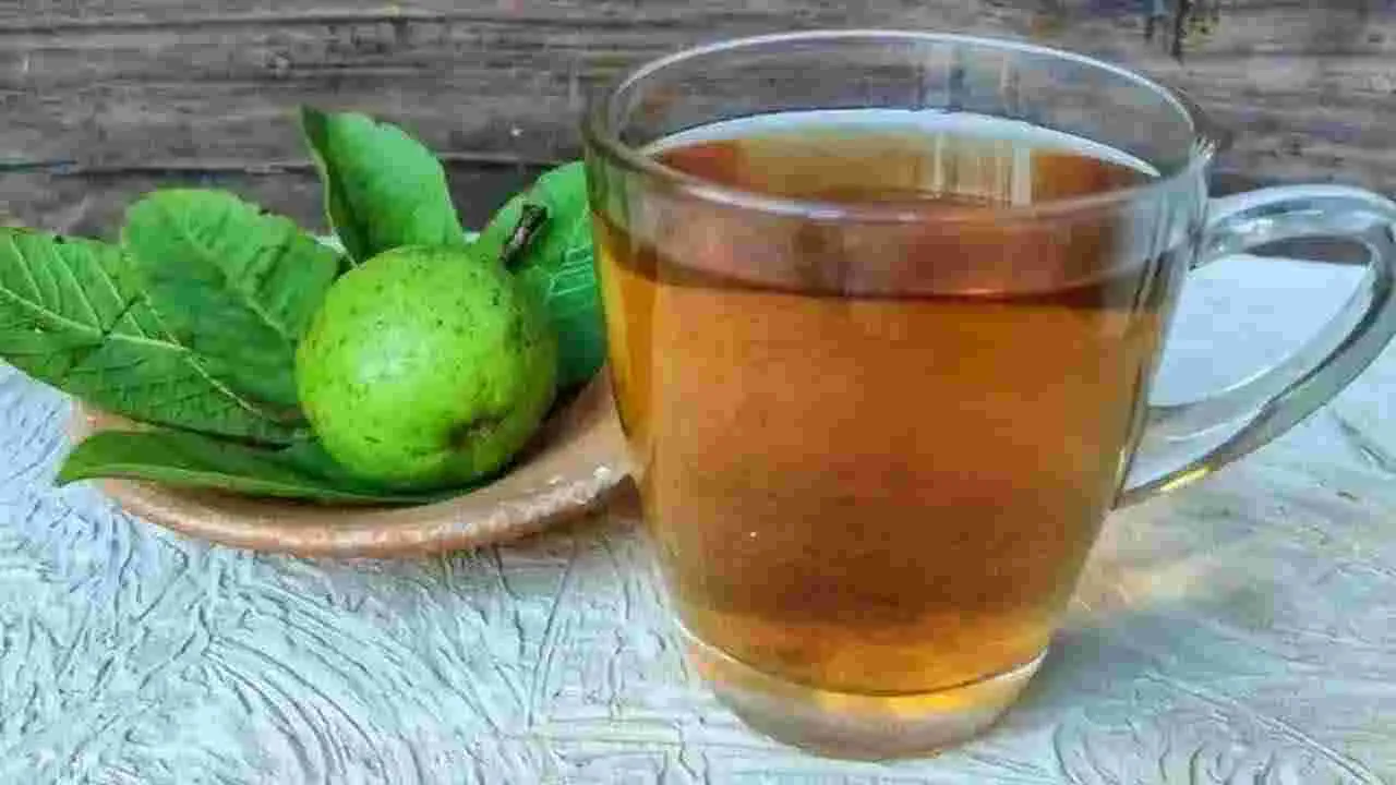 Guava Leaf Tea: జామ ఆకులతో టీ తయారు చేసుకుని తాగితే జరిగేదేంటి? మీకు తెలియని నిజాలివి..!